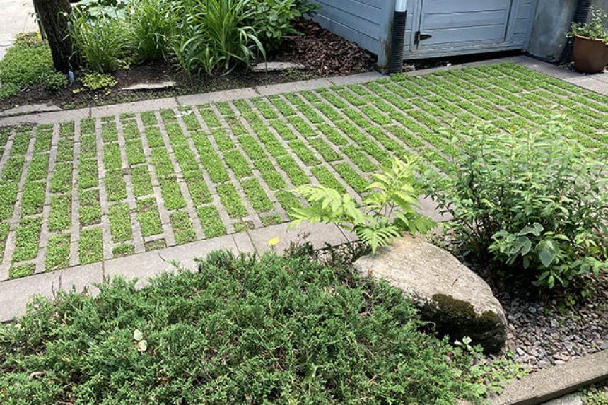 Réalisation de pavé et paysagement.
